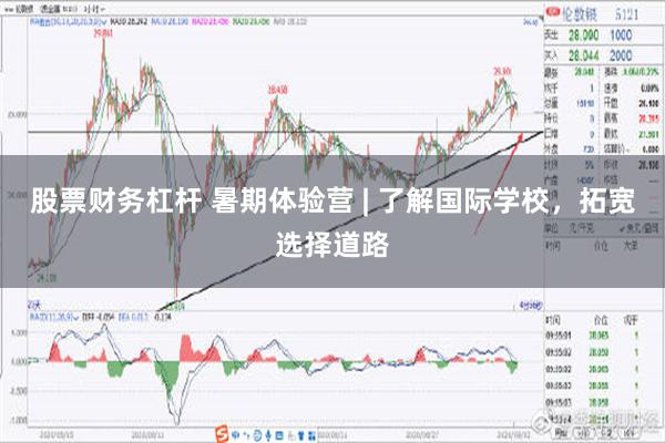 股票财务杠杆 暑期体验营 | 了解国际学校，拓宽选择道路