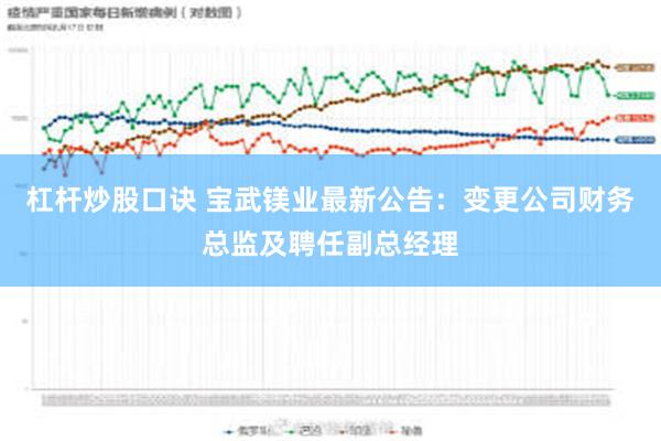 杠杆炒股口诀 宝武镁业最新公告：变更公司财务总监及聘任副总经理