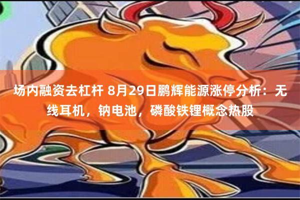 场内融资去杠杆 8月29日鹏辉能源涨停分析：无线耳机，钠电池，磷酸铁锂概念热股