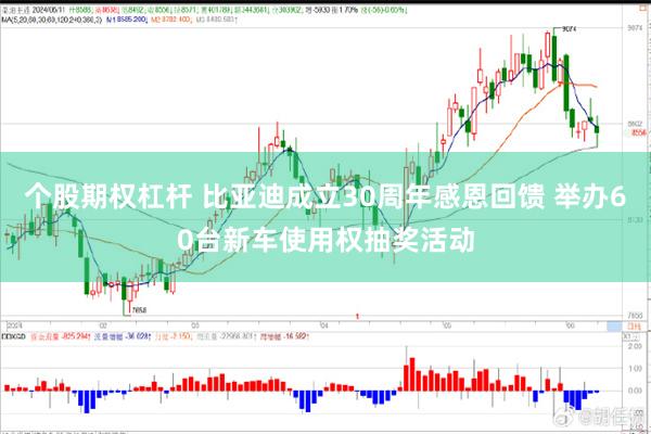 个股期权杠杆 比亚迪成立30周年感恩回馈 举办60台新车使用权抽奖活动