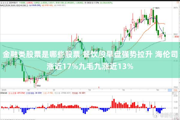 金融类股票是哪些股票 餐饮股早盘强势拉升 海伦司涨近17%九毛九涨近13%