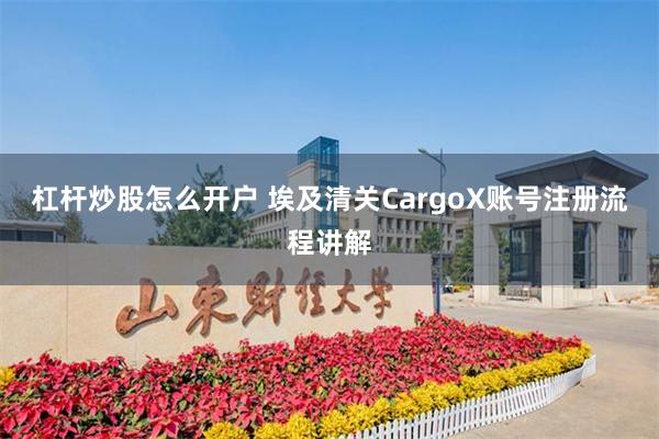 杠杆炒股怎么开户 埃及清关CargoX账号注册流程讲解